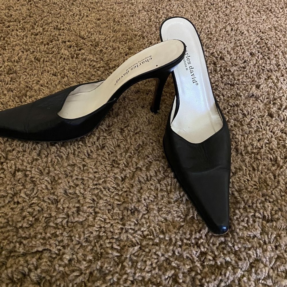 Charles David Slide-in Pumps